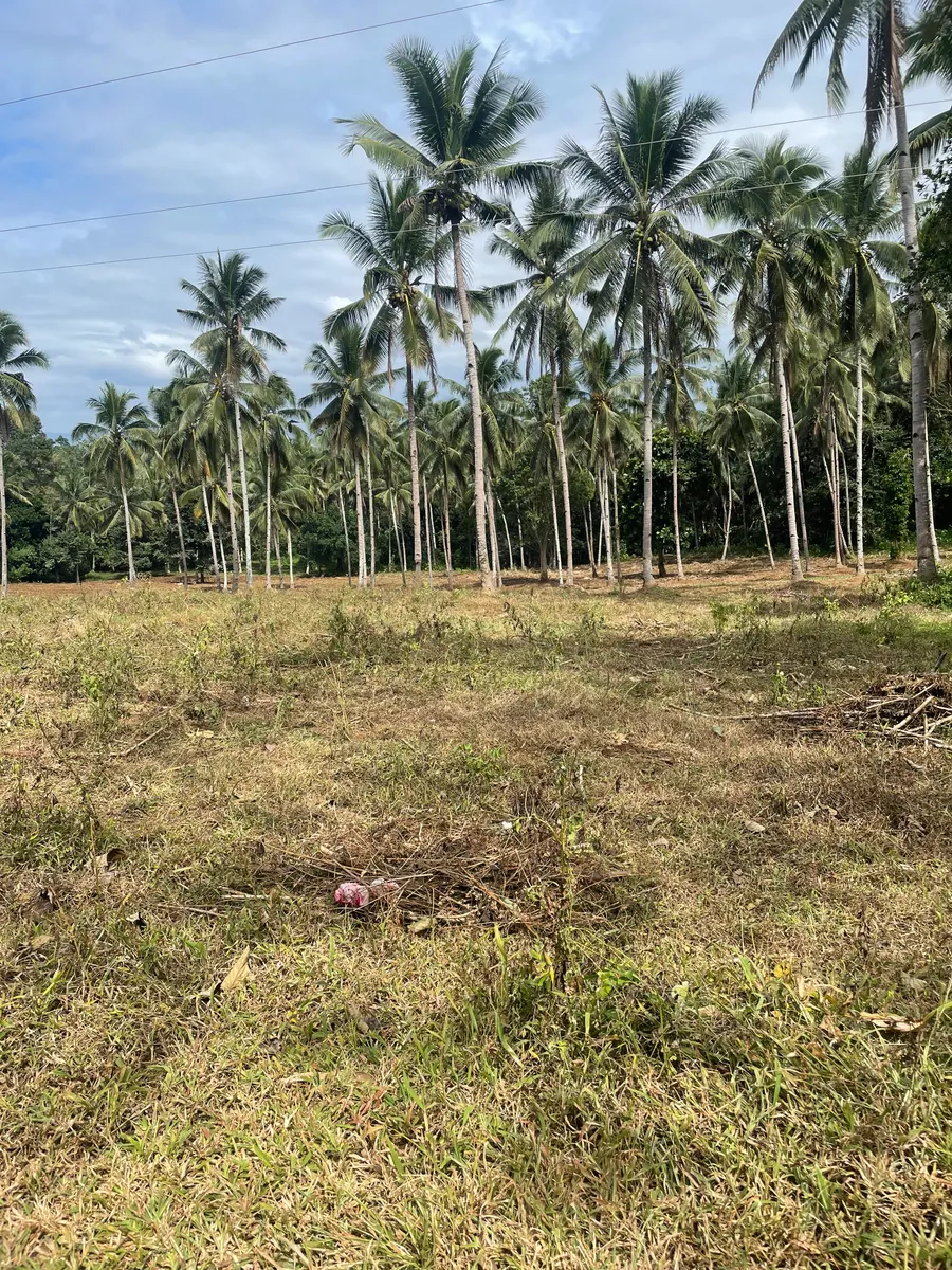 Tignapoloan, Cagayan de Oro
